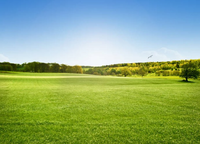 [Land for Sale] Lewiston Rural Living, Lewiston OpenLot